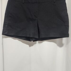 Loft shorts